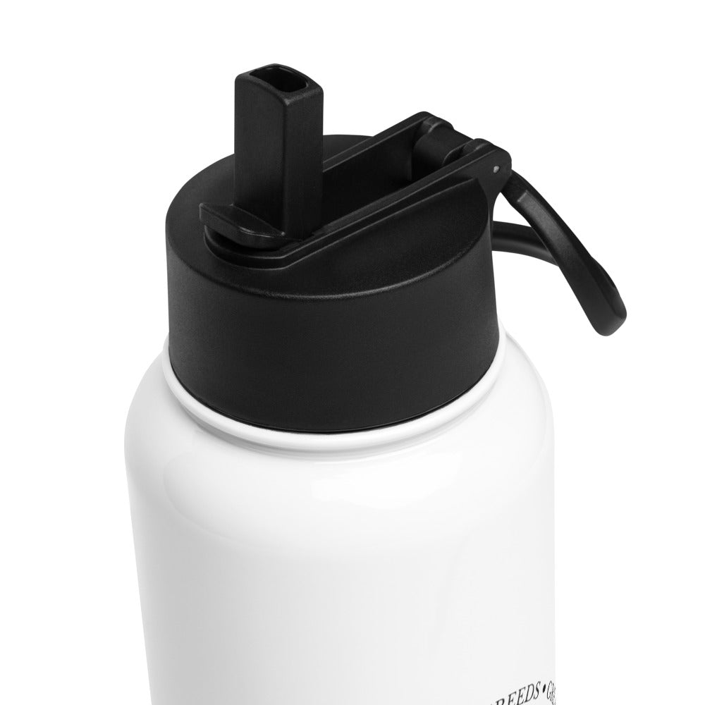 Stainless steel bottle with straw - Great Greeds